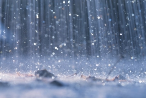rain blog