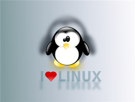 love linux Custom