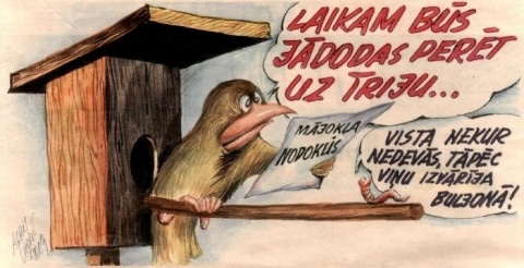 ndokli