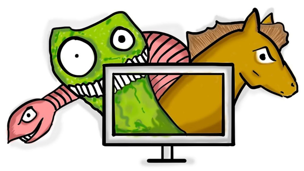 computer viruses